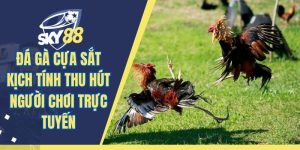 Đá Gà Cựa Sắt Kịch Tính Thu Hút Người Chơi Trực Tuyến