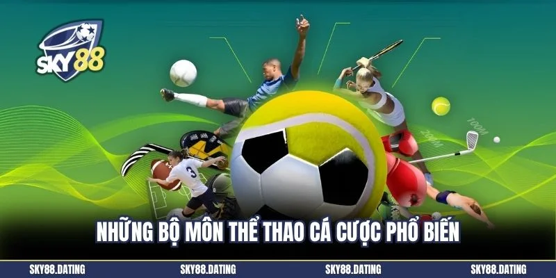 Những bộ môn thể thao cá cược phổ biến